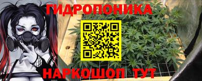 кокс Аша