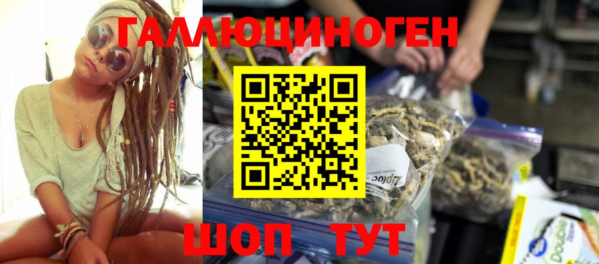 Галлюциногенные грибы Psilocybine cubensis  Псилоцибиновые грибы GOLDEN TEACHER  Вход с VPN  Коряжма 