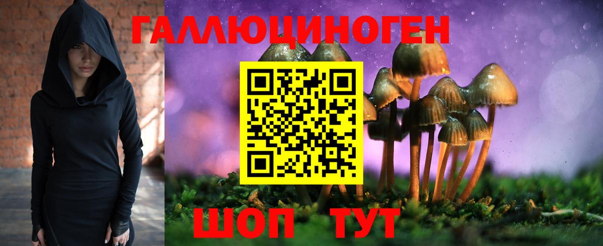 Псилоцибиновые грибы GOLDEN TEACHER Коряжма